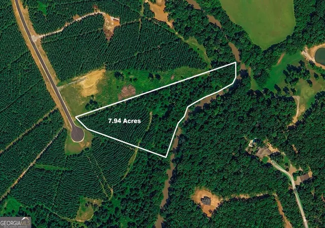Homes for sale in Tallapoosa, GA | 435 Steadman Ln, Tallapoosa, GA 30176 | MLS# 10779882