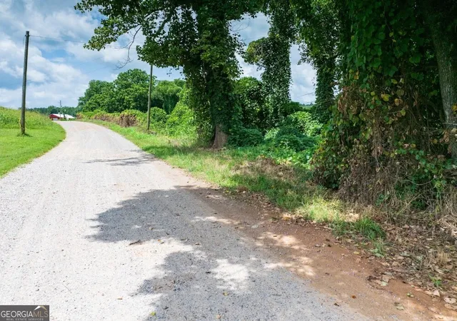 29th image of 0 County Road 667, Ranburne, AL 36273 | MLS# 10810488