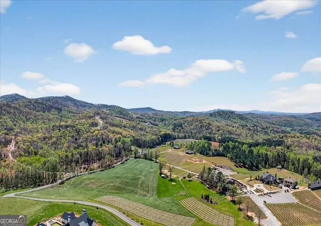 14th image of 0 Twisted Oak Rd #LOT 440, Talking Rock, GA 30175 | MLS# 10729367