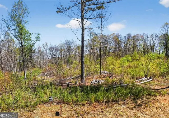 2nd image of 0 Twisted Oak Rd #LOT 440, Talking Rock, GA 30175 | MLS# 10729367