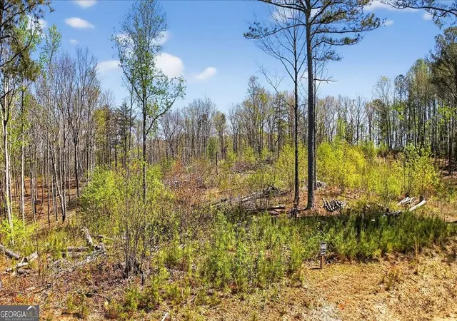3rd image of 0 Twisted Oak Rd #LOT 440, Talking Rock, GA 30175 | MLS# 10729367