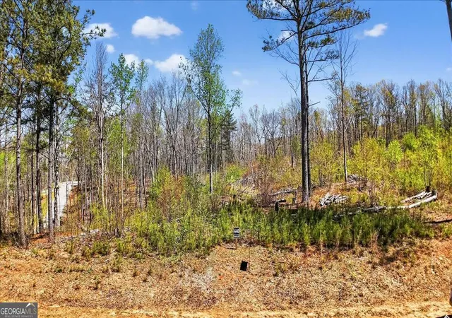 4th image of 0 Twisted Oak Rd #LOT 440, Talking Rock, GA 30175 | MLS# 10729367