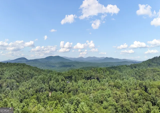 2nd image of 236 Hooch Holler Ln, Morganton, GA 30560 | MLS# 10820503