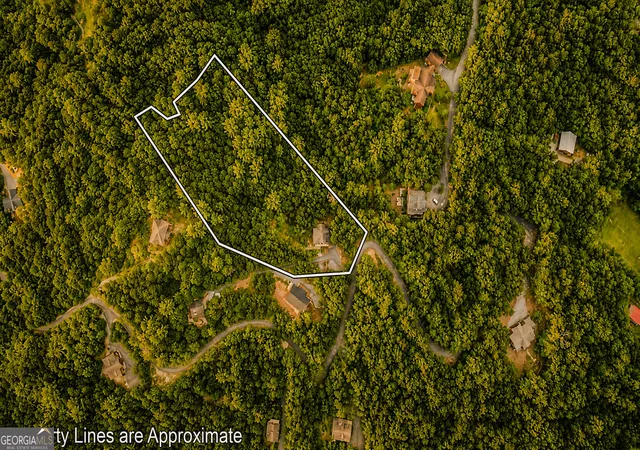 72nd image of 236 Hooch Holler Ln, Morganton, GA 30560 | MLS# 10820503