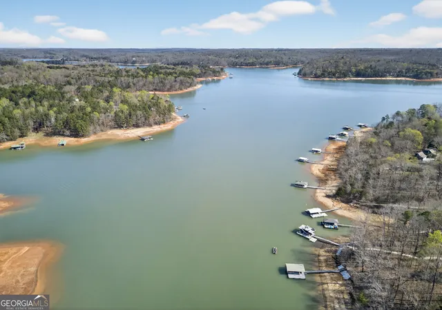 Homes for sale in Lavonia, GA | 390 Lake Pl Dr, Lavonia, GA 30553 | MLS# 10715044