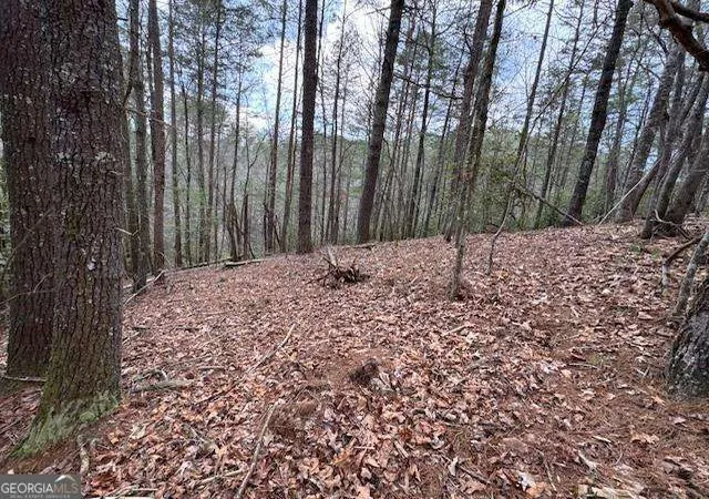 Photo 7 of Land for sale at 0 Horseshoe Bnd Rd, Dahlonega, GA 30533 | MLS# 10765855 | Listing updated on 2026-05-29