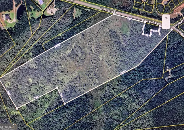 2nd image of 53+ Acres Dover Bluff Rd, Waverly, GA 31565 | MLS# 10665536