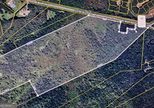 3rd image of 53+ Acres Dover Bluff Rd, Waverly, GA 31565 | MLS# 10665536