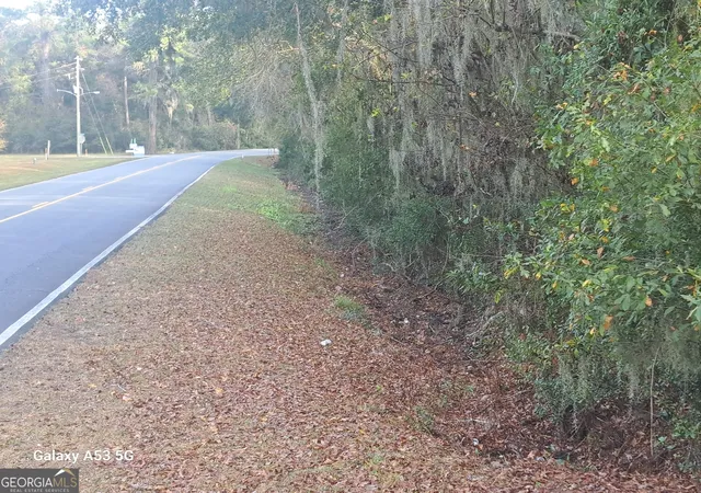 4th image of 53+ Acres Dover Bluff Rd, Waverly, GA 31565 | MLS# 10665536