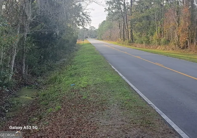 5th image of 53+ Acres Dover Bluff Rd, Waverly, GA 31565 | MLS# 10665536