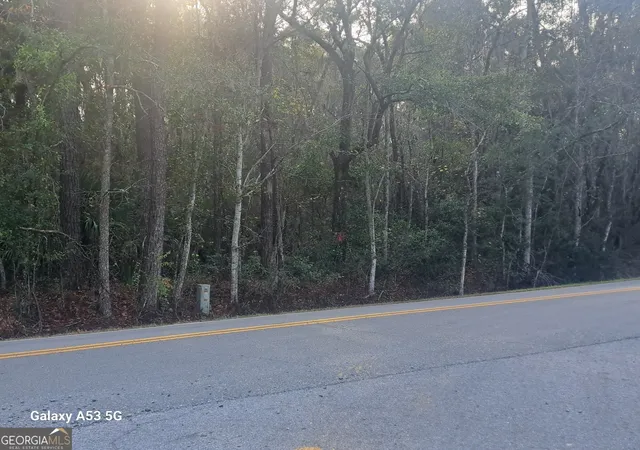 7th image of 53+ Acres Dover Bluff Rd, Waverly, GA 31565 | MLS# 10665536