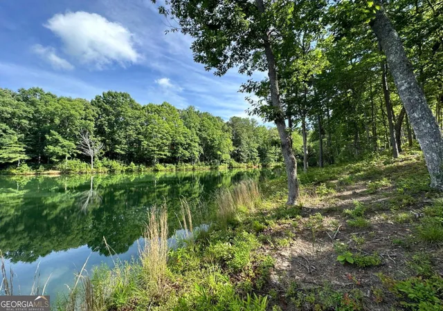 Photo 2 of Land for sale at 1117 Rome Beauty, Clarkesville, GA 30523 | MLS# 10807923 | Listing updated on 2026-08-09