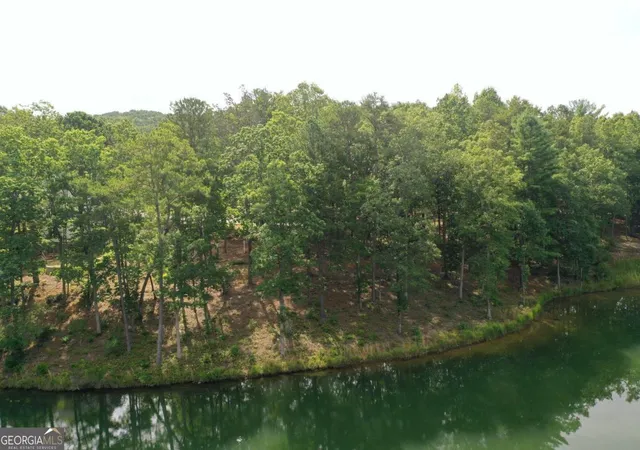 Photo 3 of Land for sale at 1117 Rome Beauty, Clarkesville, GA 30523 | MLS# 10807923 | Listing updated on 2026-08-09