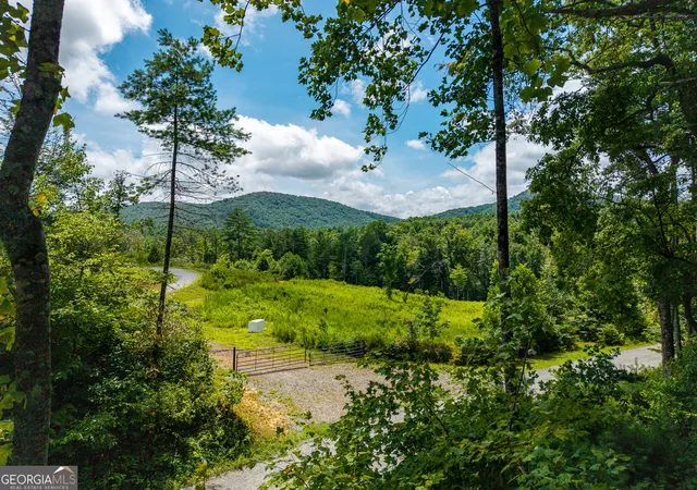 2nd image of 000 Higdon Creek Rd, Blue Ridge, GA 30513 | MLS# 10813075