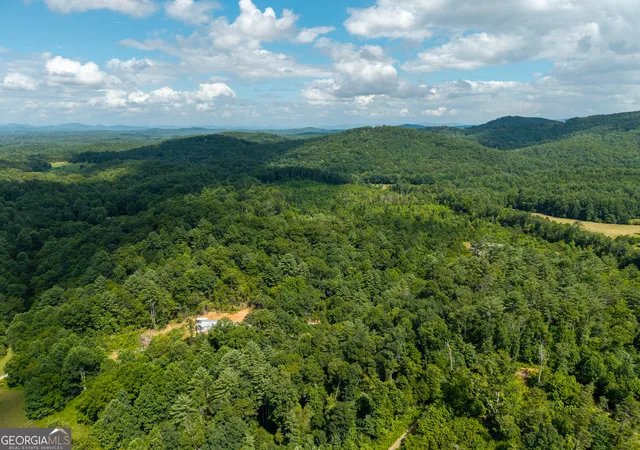 48th image of 000 Higdon Creek Rd, Blue Ridge, GA 30513 | MLS# 10813075