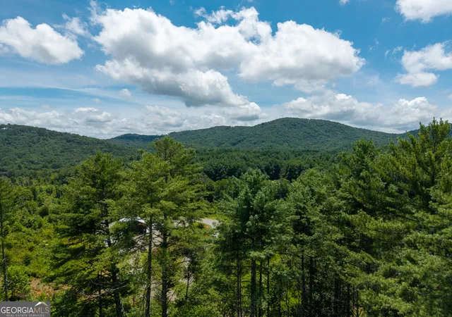 4th image of 000 Higdon Creek Rd, Blue Ridge, GA 30513 | MLS# 10813075