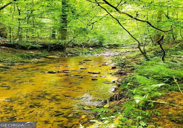Photo 3 of Land for sale at 2979 Nathan Dean Pkwy, Rockmart, GA 30153 | MLS# 10366217 | Listing updated on 2026-01-09