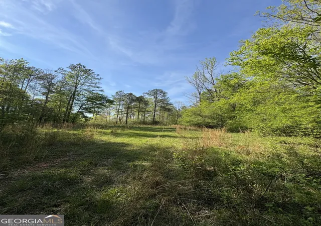 Homes for sale in Lexington, GA | 1070 E Hwy 78, Lexington, GA 30648 | MLS# 10738582