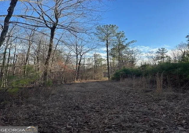 Homes for sale in Lexington, GA | 1070 E Hwy 78, Lexington, GA 30648 | MLS# 10738582