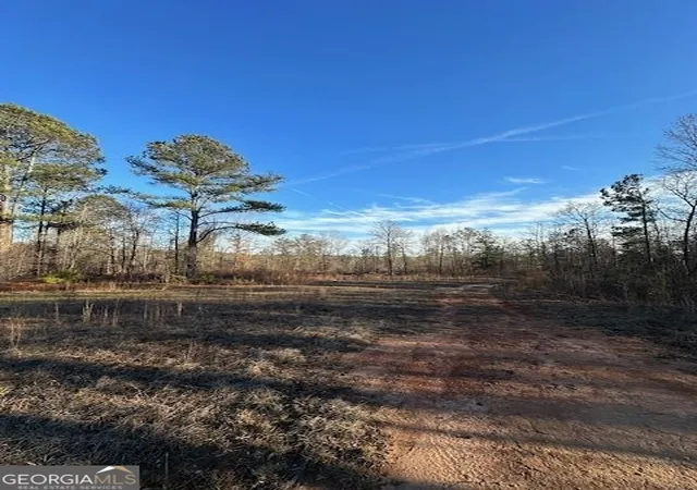 Homes for sale in Lexington, GA | 1070 E Hwy 78, Lexington, GA 30648 | MLS# 10738582