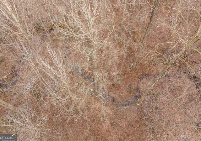 24th image of 740 Broad River Church Rd Tract A, Eastanollee, GA 30538 | MLS# 10816490
