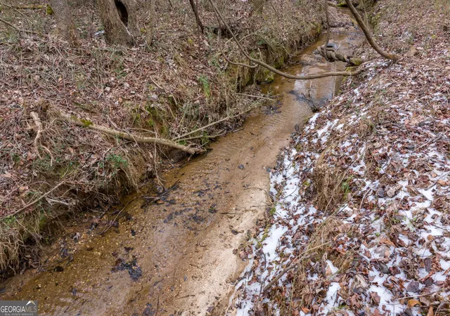 4th image of 740 Broad River Church Rd Tract A, Eastanollee, GA 30538 | MLS# 10816490