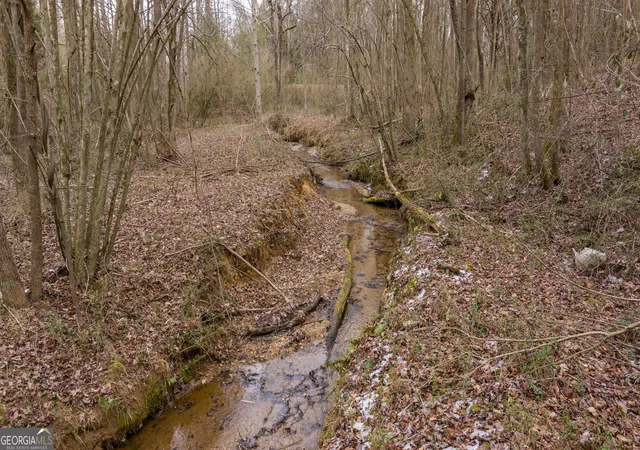 5th image of 740 Broad River Church Rd Tract A, Eastanollee, GA 30538 | MLS# 10816490