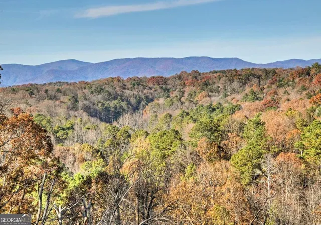 49th image of 21 Crown Ct #399, Ellijay, GA 30540 | MLS# 10644477