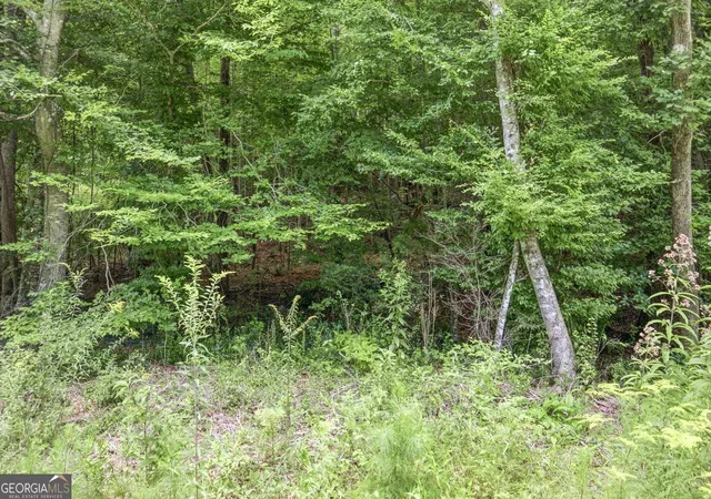 5th image of 1292 Harbert Valley Rd, Toccoa, GA 30577 | MLS# 10819638