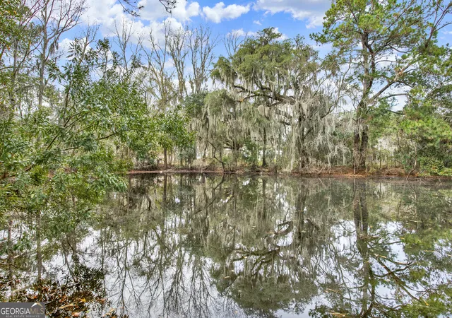 Photo 2 of Land for sale at 181 Burton Rd, Savannah, GA 31405 | MLS# 10614430 | Listing updated on 2026-06-02