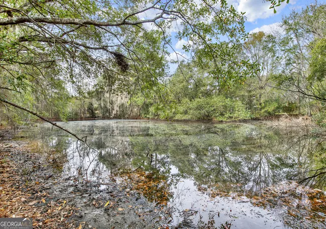 Photo 3 of Land for sale at 181 Burton Rd, Savannah, GA 31405 | MLS# 10614430 | Listing updated on 2026-06-02