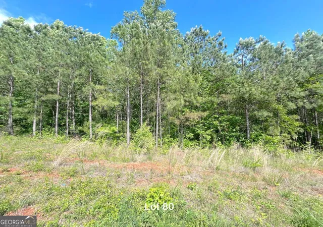 1st image of 172 Oakdale Wy, Temple, GA 30179 | MLS# 10815764