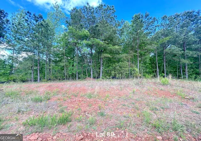 3rd image of 172 Oakdale Wy, Temple, GA 30179 | MLS# 10815764