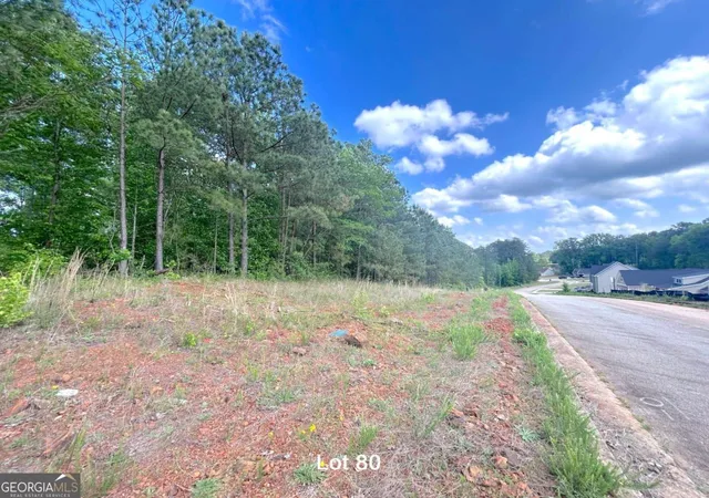 4th image of 172 Oakdale Wy, Temple, GA 30179 | MLS# 10815764