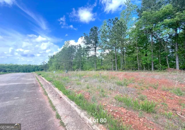 5th image of 172 Oakdale Wy, Temple, GA 30179 | MLS# 10815764