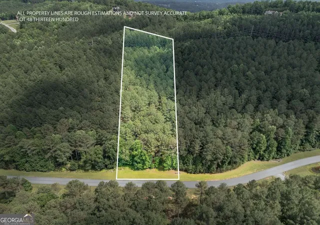 Homes for sale in Blairsville, GA | Lot 48 Thirteen Hundred, Blairsville, GA 30512 | MLS# 10783903