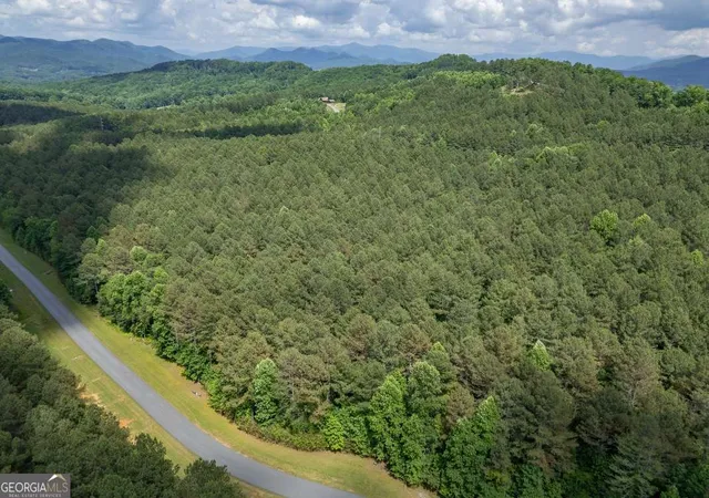 Homes for sale in Blairsville, GA | Lot 48 Thirteen Hundred, Blairsville, GA 30512 | MLS# 10783903