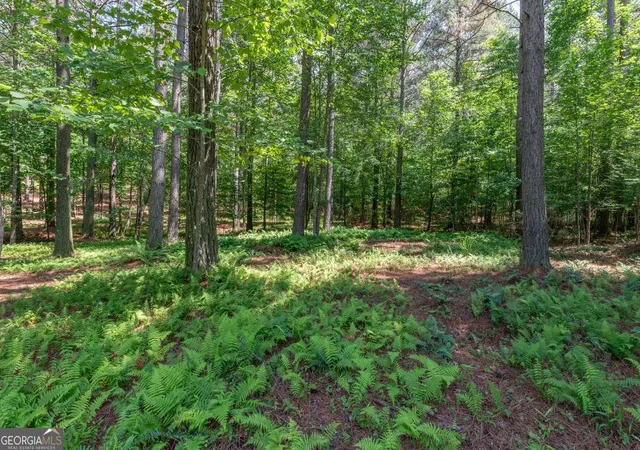 Homes for sale in Blairsville, GA | Lot 48 Thirteen Hundred, Blairsville, GA 30512 | MLS# 10783903