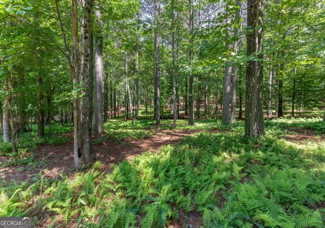 Homes for sale in Blairsville, GA | Lot 48 Thirteen Hundred, Blairsville, GA 30512 | MLS# 10783903