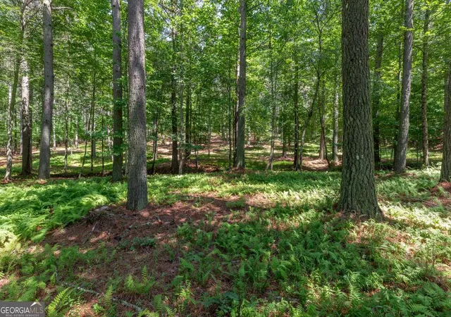Homes for sale in Blairsville, GA | Lot 48 Thirteen Hundred, Blairsville, GA 30512 | MLS# 10783903