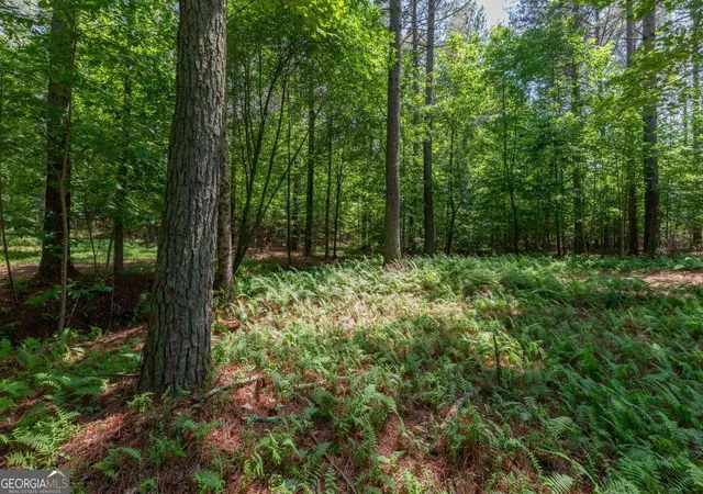 Homes for sale in Blairsville, GA | Lot 48 Thirteen Hundred, Blairsville, GA 30512 | MLS# 10783903