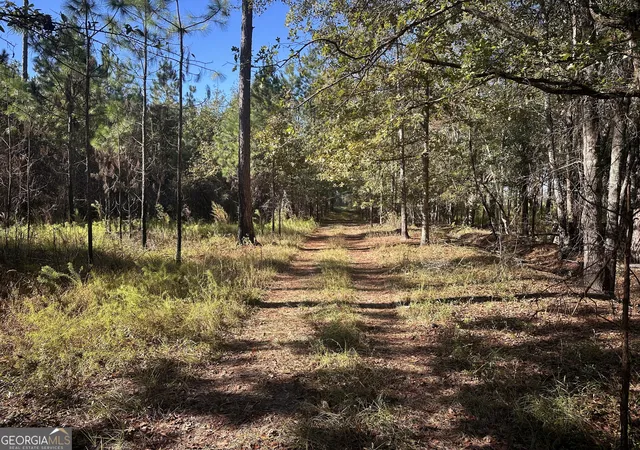 1st image of 0 Buck Creek Rd, Sylvania, GA 30467 | MLS# 10762896