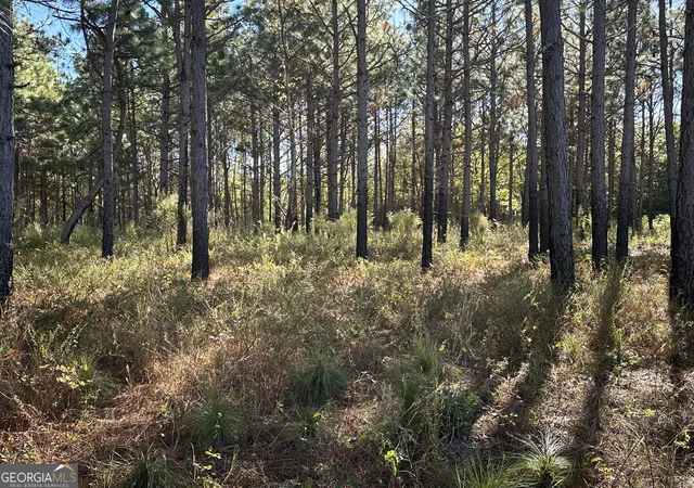 20th image of 0 Buck Creek Rd, Sylvania, GA 30467 | MLS# 10762896