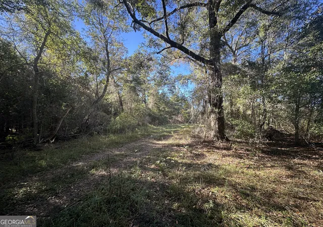 Photo 3 of Land for sale at 0 Buck Crk Rd, Sylvania, GA 30467 | MLS# 10762896 | Listing updated on 2026-05-26