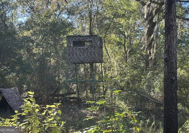Photo 3 of Land for sale at 0 Buck Crk Rd, Sylvania, GA 30467 | MLS# 10762896 | Listing updated on 2026-05-26