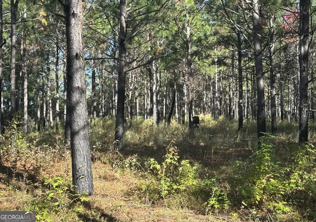 Photo 4 of Land for sale at 0 Buck Crk Rd, Sylvania, GA 30467 | MLS# 10762896 | Listing updated on 2026-05-26