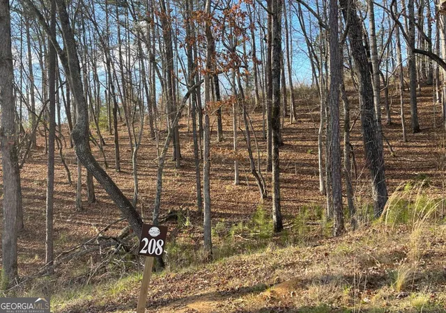 Photo 2 of Land for sale at Lot# 208 Pinnacle Dr #208, Ellijay, GA 30540 | MLS# 10700935 | Listing updated on 2026-05-19