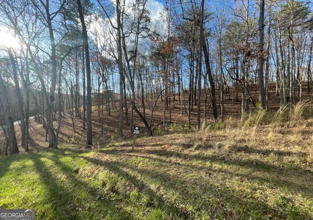 Photo 4 of Land for sale at Lot# 208 Pinnacle Dr #208, Ellijay, GA 30540 | MLS# 10700935 | Listing updated on 2026-05-19