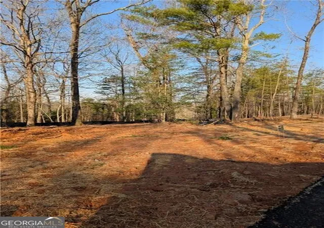 Photo 3 of Land for sale at 0 Yahoola Ridge, Dahlonega, GA 30533 | MLS# 10624699 | Listing updated on 2025-10-28