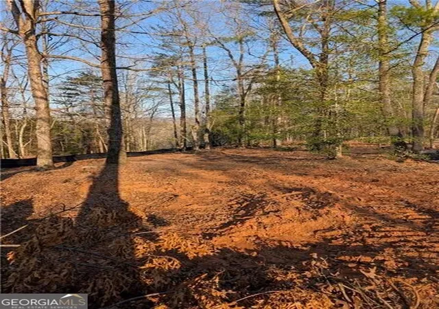 Photo 3 of Land for sale at 0 Yahoola Ridge, Dahlonega, GA 30533 | MLS# 10624699 | Listing updated on 2025-10-28